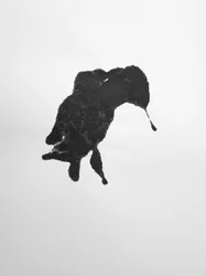 Untitled, 2009