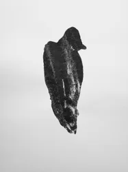 Untitled, 2009