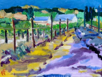 Vineyard Outside Santa Rosa
