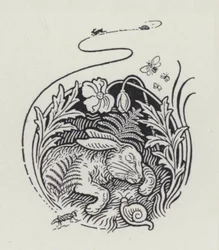 The Hare And The Tortoise