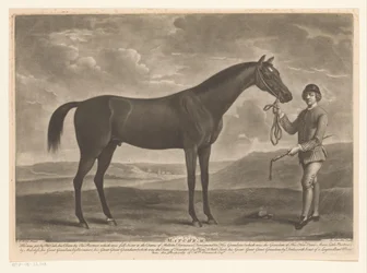 Racehorse with Jockey