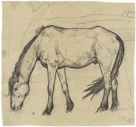 Grazing Horse in Noordwijk