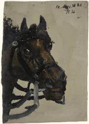 Horse Head