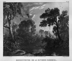"Mouth of the Cachoeira River"