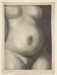 Torso of a Pregnant Woman
