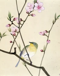 Bird - Japanese drawing by Riou Chim, late 19th century