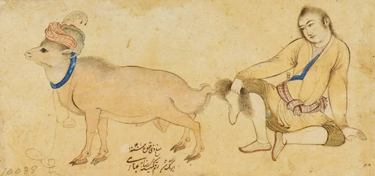 Study of a Young Man and a Ram, 1630-31 or Later