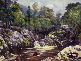 In the Lledr Valley
