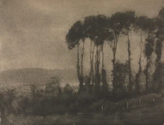 Toucques Valley