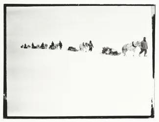 Ponies on the march, Great Ice Barrier, 2 December