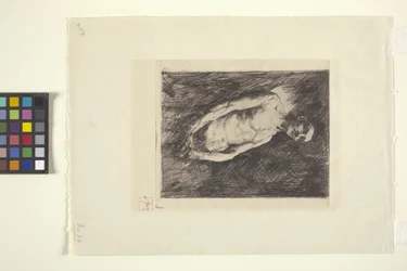 Figure Of A Man