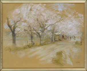 Spring Landscape