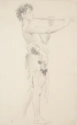 Study of piper for 