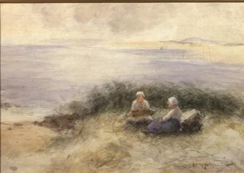 A Summer Sea