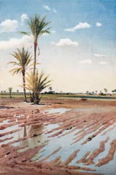 An Irrigated Field