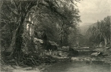 The Adirondack Woods, 1874