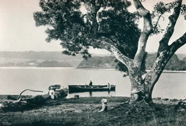 Church Island, Lough Gill, Sligo