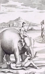 An Execution by an Elephant, Published 1681