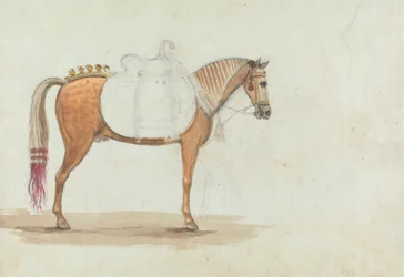 Unfinished Sketch of an Elaborately Saddled Horse