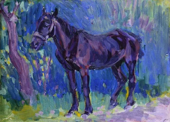 Study for Sussex Farm Horse