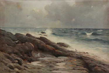 Rocky Coastline