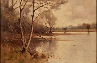 Silver Birch at the Lakeside