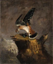Vulture and Its Prey
