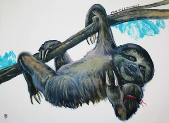 Happy Hanging Sloth