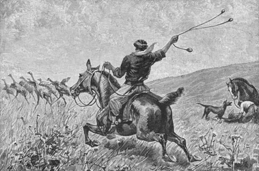 Throwing The Bolas