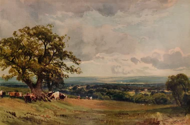 Near Ashford, Kent