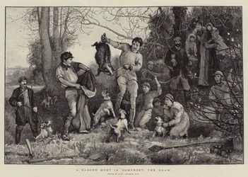A Badger Hunt in Somerset, the Draw