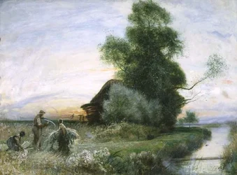 Gathering Twigs