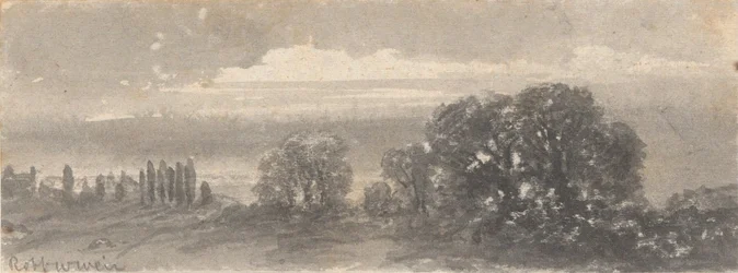 Landscape - Trees