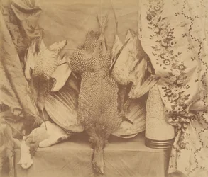 Still Life and Embroidery