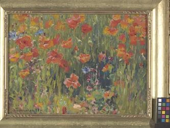 Poppies