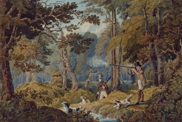 Partridge Shooting Near Windsor