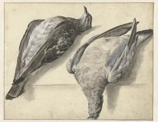 Two Dead Pigeons