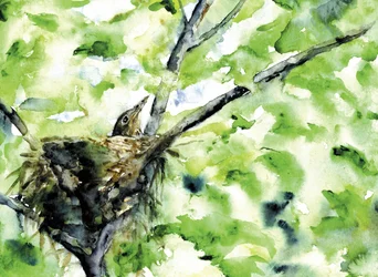 Baby Bird in Green Nest