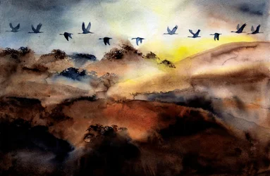 Birds Flying Over Hills