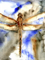 Blue Watercolor Dragonfly