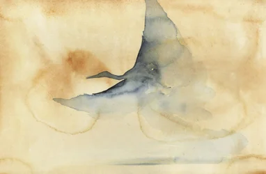 Ethereal Bird Soaring