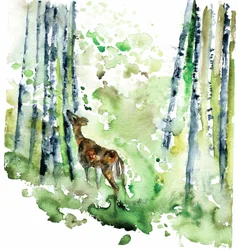 Forest Fawn