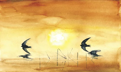 Golden Hour Birds