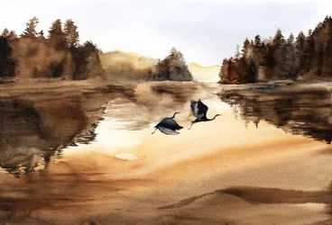 Golden Lake Birds Flight