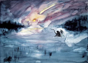 Heron Flying Comet Sky