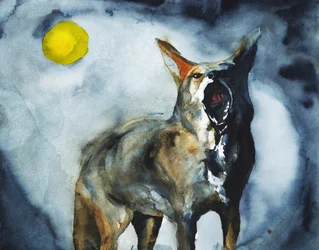Howling Coyote Moon