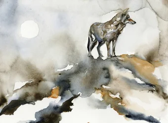 Lone Wolf Moon