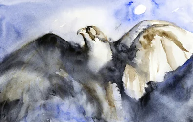 Majestic Falcon Flight