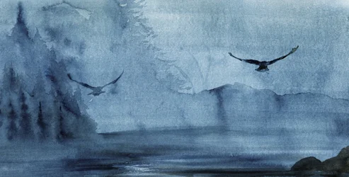 Misty Lake Flight