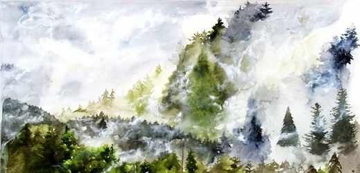 Misty Mountain Forest